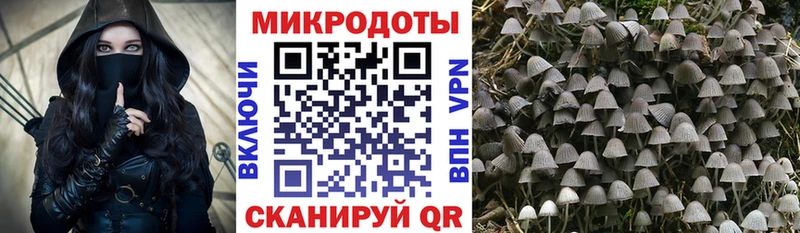 Псилоцибиновые грибы Psilocybe  ОМГ ОМГ зеркало  Гурьевск 